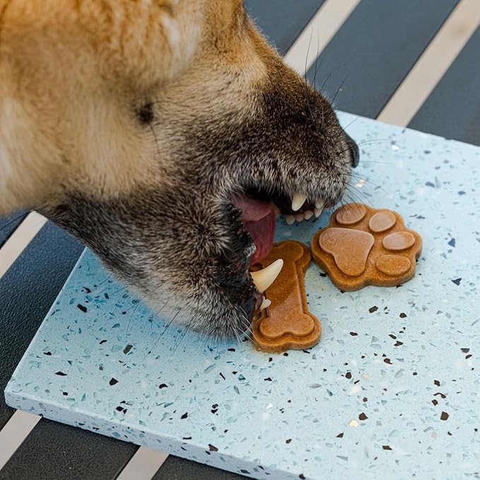 Cooper's Treats Dog Popsicle Mix - Jar of Frozen Dog Treat Mix (Grain Free Turkey and Cinnamon)
