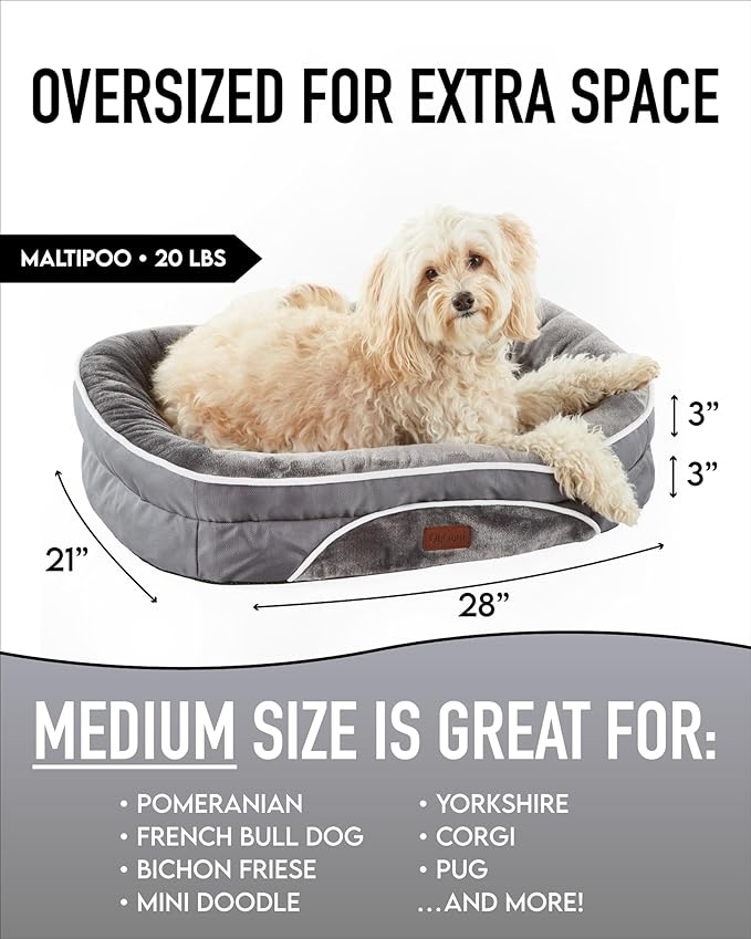Orthopedic Dog Bed for Medium Dogs, Dog Couch Design with Egg Foam Support, Removable, Machine Washable Plush Cover and Non-Slip Bottom with Four Sided Bolster Cushion (Gray)