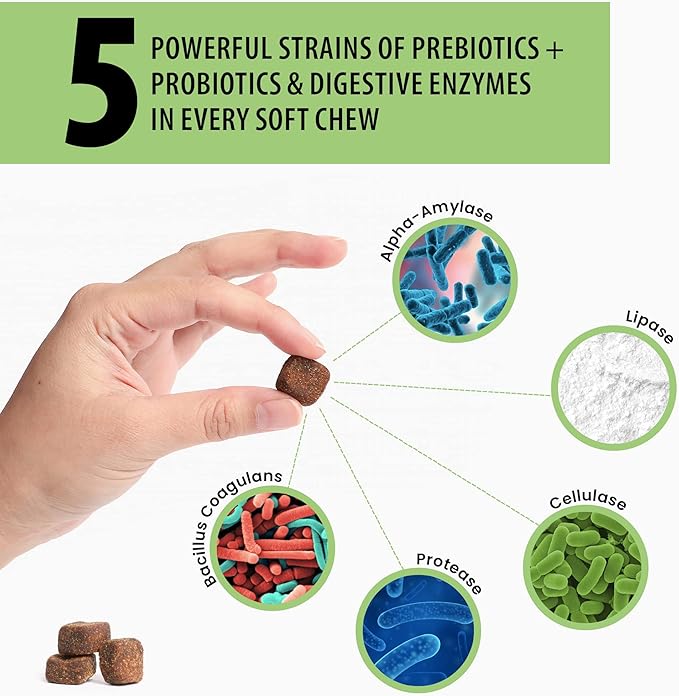 DOG for DOG Probiotics for Dogs - Digestive Enzymes for Dogs Support Gut Health | Probiotic & Prebiotic Chews Treat Diarrhea, Itchy Skin & Improves Gut Health | Made in The USA | 90 Bacon Flavor Chews