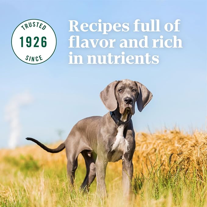 NUTRO NATURAL CHOICE Large Breed Puppy Dry Dog Food, Lamb & Brown Rice Recipe Dog Kibble, 30 lb. Bag