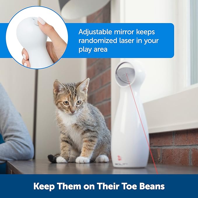 PetSafe Bolt - Automatic Cat Laser Toy - Interactive - Relieves Anxiety & Boredom - Bug-Like Laser Pattern Keeps Them Entertained - Hands-Free Play - Auto Shut Off Prevents Overstimulation