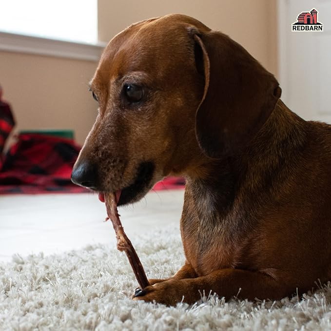 Redbarn All-Natural Bully Slims Beef Esophagus Chew Treats - Premium Grain-Free High Protein Low Fat Rawhide Alternative with No Artifical Ingredients - 4.7 oz Bag