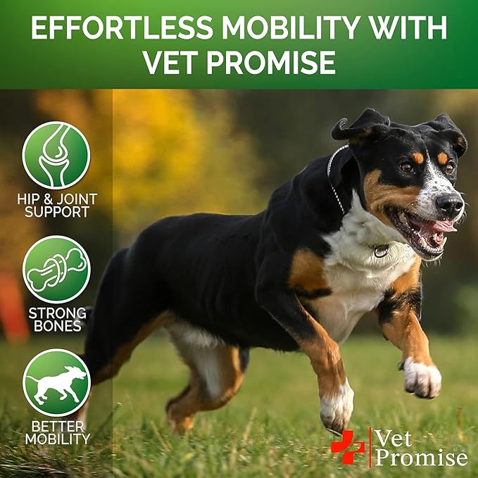 (2 Pack) Glucosamine for Dogs - Hip and Joint Supplement for Dogs - Glucosamine Chondroitin for Dogs - Dog Joint Pain Relief - MSM - Hemp - Advanced Support Dog Joint Supplement - 240 Mobility Chews