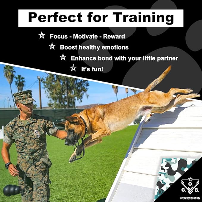 Operation Good Boy Dog Treats - Beef Jerky Strips Stars & Strips | Natural, Farm-Raised Meat - Vet-Formulated AAFCO Approved Ingredients | Perfect Training Treats for Medium to Large Dogs