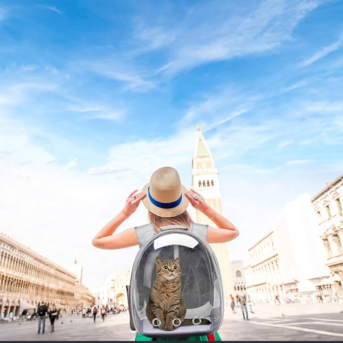 Henkelion Bubble Carrying Bag for Small Medium dogs Cats, Space Capsule Pet Hiking backpack, Airline Approved Travel carrier - Grey