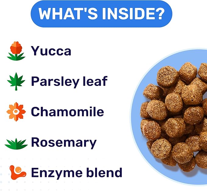 No Poo Chews for Dogs - Coprophagia Stool Eating Deterrent for Dogs - Poop Eating Deterrent & Prevention - Probiotics & Digestive Enzymes Chewable Remedy