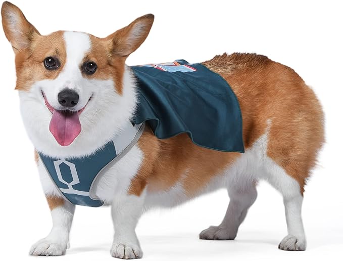 STAR WARS for Pets Boba Fett Dog Harness with Cape, Large (L) | Large Dog Boba Fett Harness for Dogs | Pet Harness, Harness for Large Dogs, Green, (FF19561)