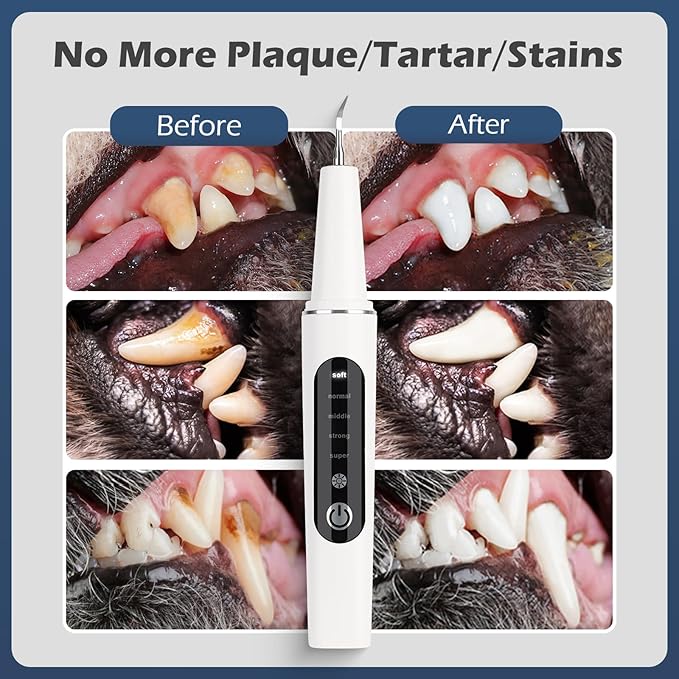 Plaque Remover for Teeth,Dog Teeth Cleaning kit,Tartar Remover for Dog Tooth,5 Modes Ultrasonic Dental Tool Cleaner & Scraper for Pet Tooth with Led Light-White