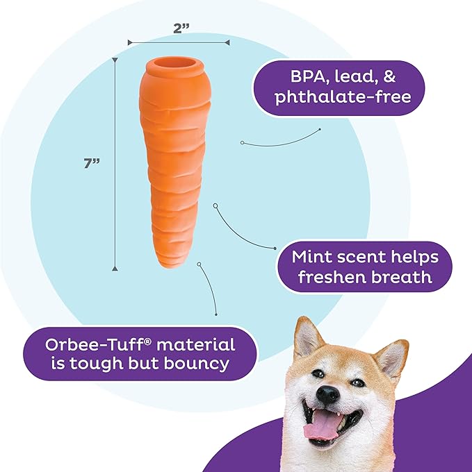 Outward Hound Foodies Carrot Treat-Dispensing Dog Chew Toy, Orange