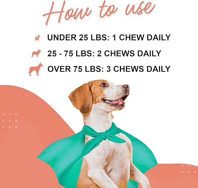 Skin & Coat Supplement for Dogs with Salmon Oil, Omega 3 & 6, EPA & DHA, Promotes Healthy Skin and Coat, Itchy Relief, Joint and Overall Health, Delicious Flavor, 70 skin & coat Soft Chews