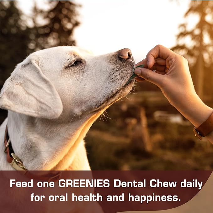 UrbanX HealthyBones Original Natural Dog Dental Care Mint Snacks Oral Health Dog Food for Australian Shepherd Pit Bull Mix and Other Large Mixed Breed Dogs, 60 Count