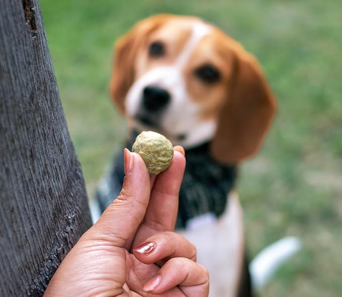 Hip, Bone & Joint - Premium Dog Bone & Joint Supplement - Enhanced Canine Mobility and Recovery - Grass-Fed Beef Bone, Green Mussel, Chicken Cartilage - Heart of The Canine - 6oz