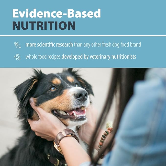 JustFoodForDogs Pantry Fresh Wet Dog Food, Complete Meal or Dog Food Topper, for Sensitive Stomachs, Balanced Remedy Human Grade Dog Food Recipe - 12.5 oz (Pack of 12)