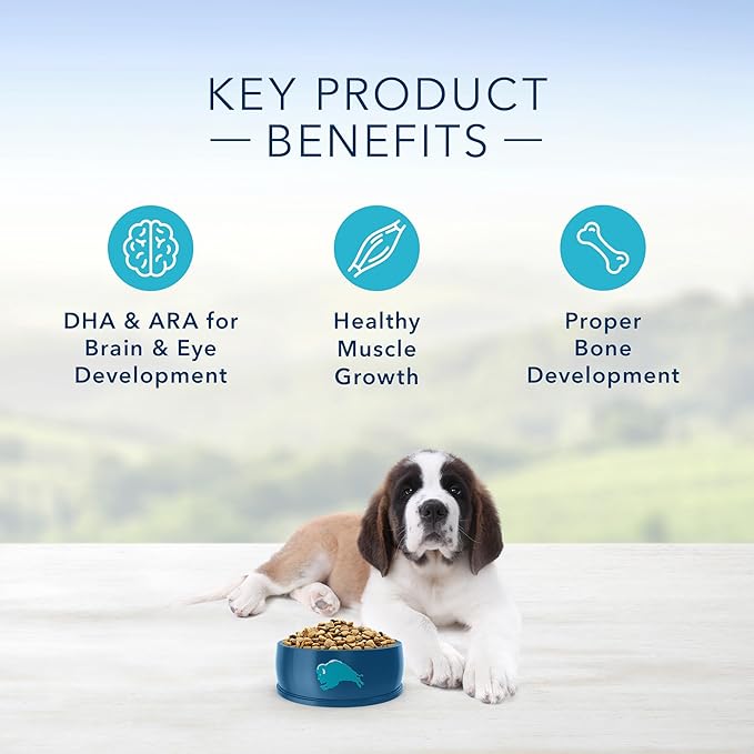 Blue Buffalo Life Protection Formula Natural Puppy Small Breed Dry Dog Food, Chicken and Oatmeal 15-lb