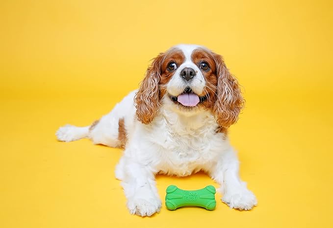Hartz DuraPlay Bone Squeaky Latex Dog Toy for Small breeds, 3 Pack