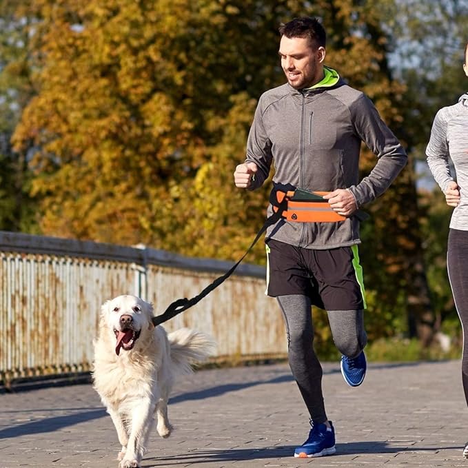Hands Free Dog Leash with Pouch, 2 in 1 Retractable Dual Handle Bungee Waist Leash Rope for Small and Large Dogs, Adjustable Length Belt Suitable for Running, Walking, Jogging, Hiking, Training