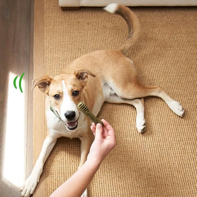 Greenies Puppy Regular Size Natural Dental Dog Treats, 6 oz. Pack (6 Treats)