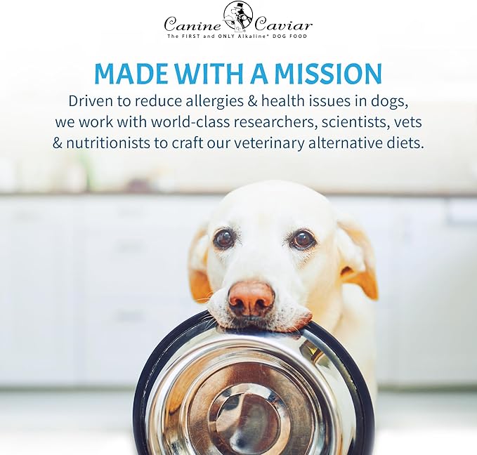 Canine Caviar Wild Ocean Dog Food – Limited Ingredient Alkaline Holistic Dog Food – All Life Stages – Gluten Free, Ultra-Premium Dog Food – Healthy Skin & Coat – Herring & Quinoa – 11 lbs