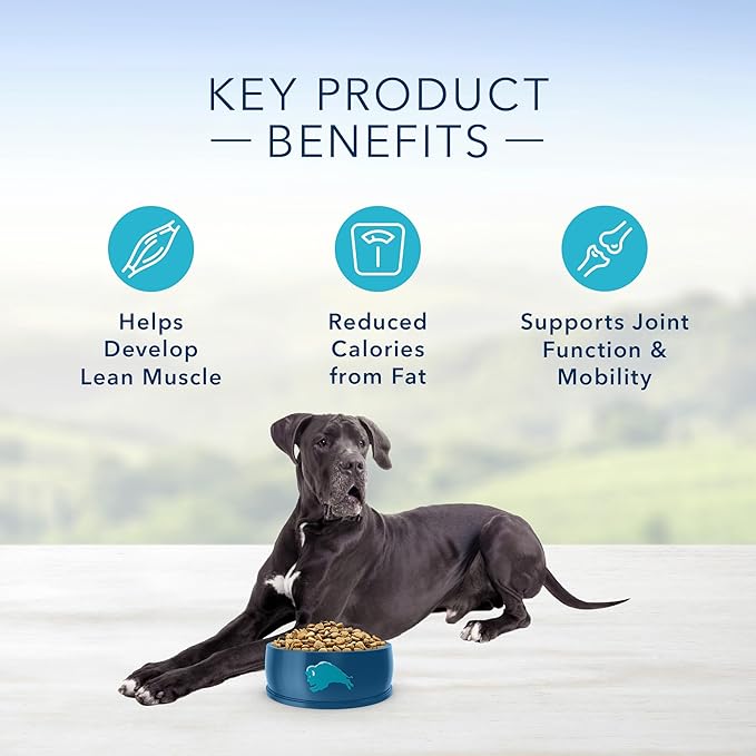 Blue Buffalo Life Protection Formula Natural Adult Large Breed Healthy Weight Dry Dog Food, Chicken and Brown Rice 34-lb