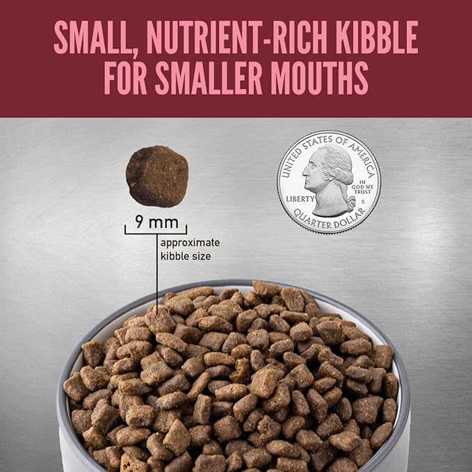 ORIJEN Small Breed Dry Dog Food, Grain Free Dry Dog Food for Small Breeds, Fresh or Raw Ingredients, 10lb