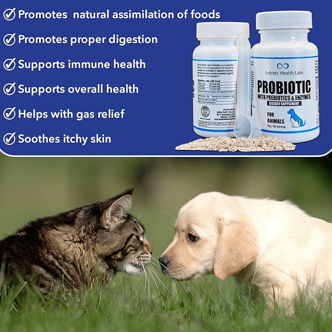 Probiotics for Dogs and Cats - Vet Formulated Pet Prebiotic & Enzyme Powder for Digestive, Gut & Immune Health - 160 Servings