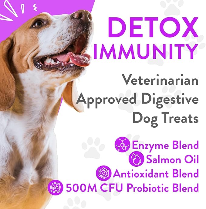 Green Gruff Dog Probiotics & Digestive Enzymes - Organic Dog Immune Supplement with Protein, Multivitamin & Omega 3 Fish Oil for Dogs - Made in USA - Dog Allergy Relief - Canine Probiotic - 90 Chews