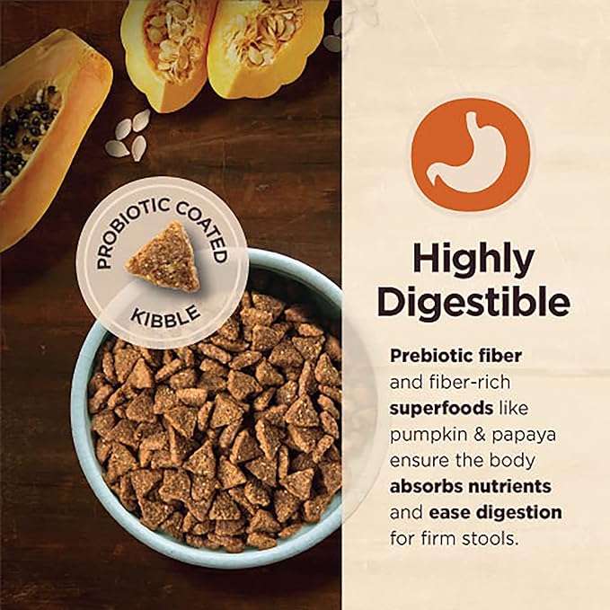 Wellness CORE Digestive Health Dry Dog Food with Wholesome Grains, Highly Digestible, for Dogs with Sensitive Stomachs, Made in USA with Real Protein (Small Breed, Chicken & Brown Rice, 4-Pound Bag)