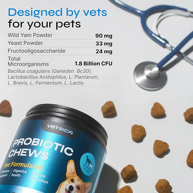Probiotics for Dogs - Dog Probiotics for Digestive Health - Probiotic Chews for Dogs with Digestive Enzymes - Dog Gut Health Probiotics - Pet Probiotics for Dogs Gut Health Digestive