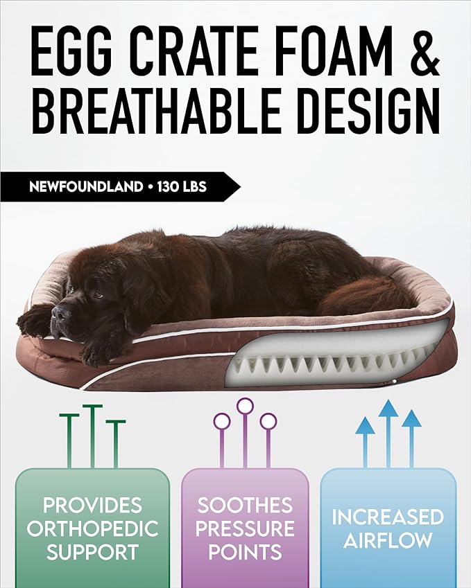 Orthopedic Dog Bed for Extra Extra Large Dogs, Dog Couch Design with Egg Foam Support, Removable, Machine Washable Plush Cover and Non-Slip Bottom with Four Sided Bolster Cushion (Brown)
