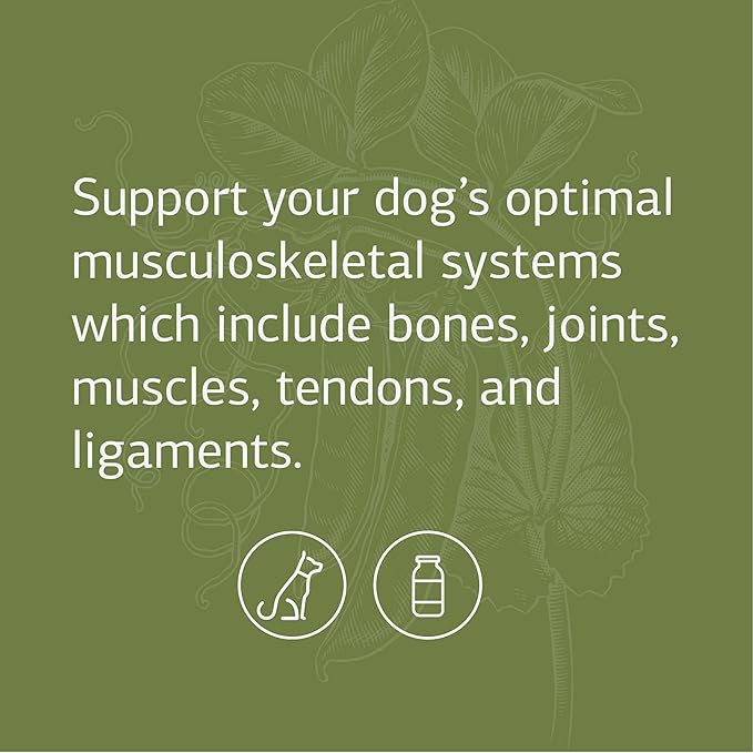 Standard Process - Canine Musculoskeletal Support - 1 Oz