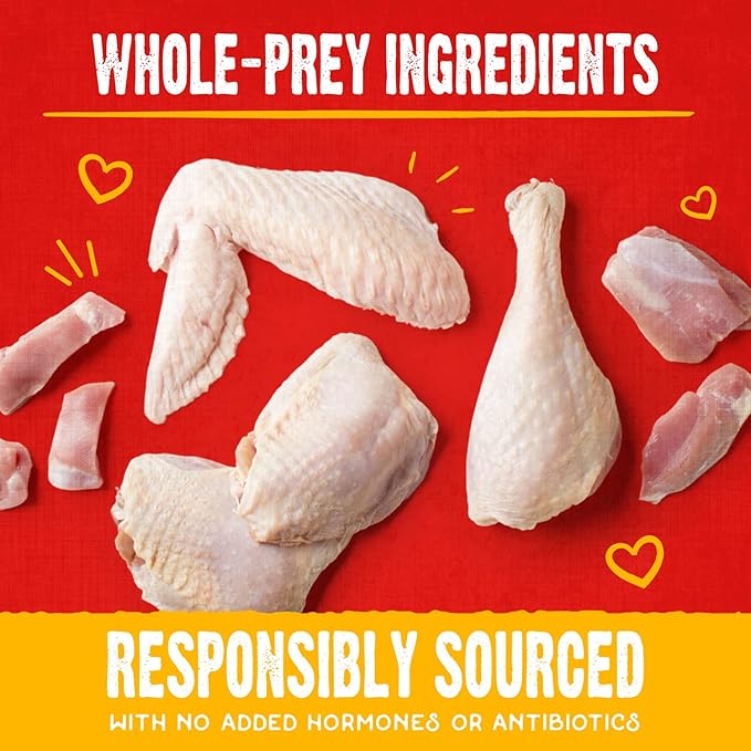 Stella & Chewy's Freeze-Dried Raw Coated Dog Biscuits – Cage-Free Chicken Recipe – Protein Rich, Grain Free Dog & Puppy Treat – Great Snack for Training & Rewarding – 9 oz Bag