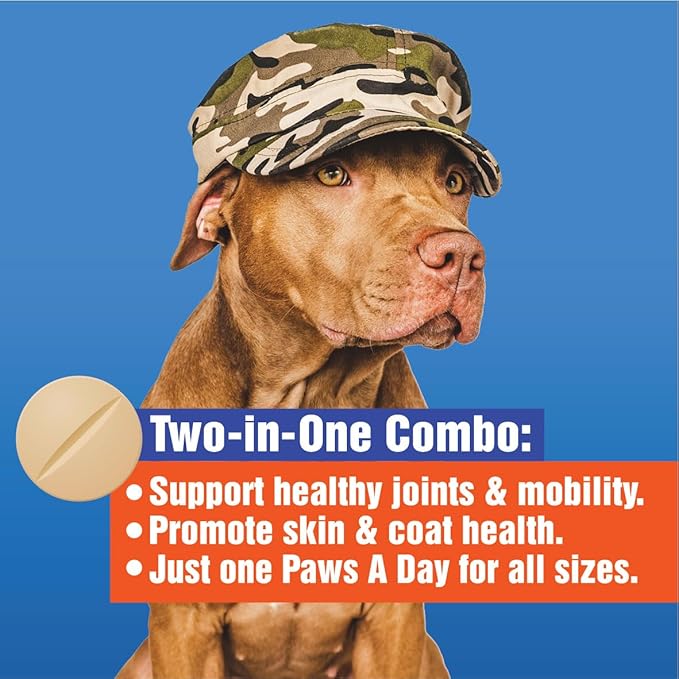 Glucosamine for Dogs Hip & Joint Supplement – “Two-in-One Combo” Dog Joint Care and Improved Skin & Coat with Chondroitin, MSM, Omega 3, Collagen & Biotin, 60 Chewable Tablets (Pack of 3)