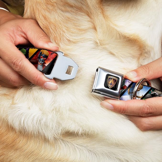 Buckle-Down Seatbelt Buckle Dog Collar - Guardians of The Galaxy 5-Character Pose Blocks - 1" Wide - Fits 9-15" Neck - Small (Pack of 2)