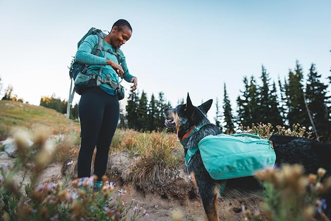 Ruffwear, Front Range Dog Collar, Durable and Comfortable Collar for Everyday Use, Spring Fade, 11"-14"