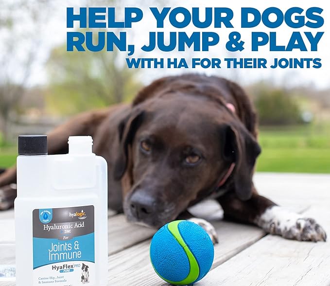 Canine Hyaluronic Acid + Zinc by Hyalogic - Joint & Immune Support, HyaFlex Pro Pure 8oz - Liquid Oral HA Dog & Pet Supplement