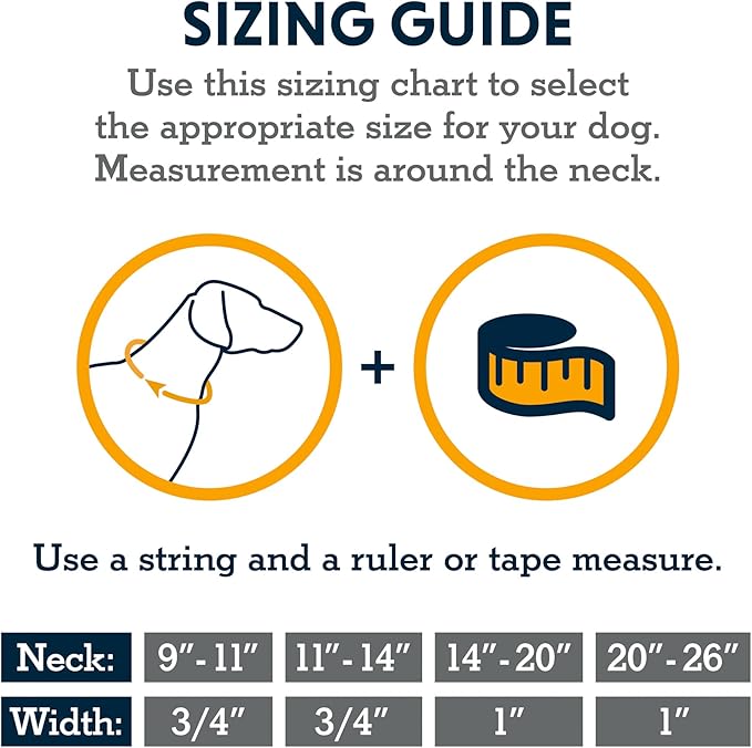 Ruffwear, Hi & Light Dog Collar, Minimal and Ultralight Collar for Everyday Walks and Runs, Alpenglow Pink, 9"-11"