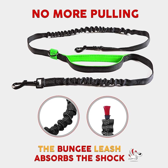 Exquisite Double Hands Free Leash for Large Dogs | Retractable Dog Leash 2 Dogs | Waist Dog Leash for Large Dogs | Two Dog Leash for Large Dogs | Leash for Big Dogs | Hands Free Running Dog Leash
