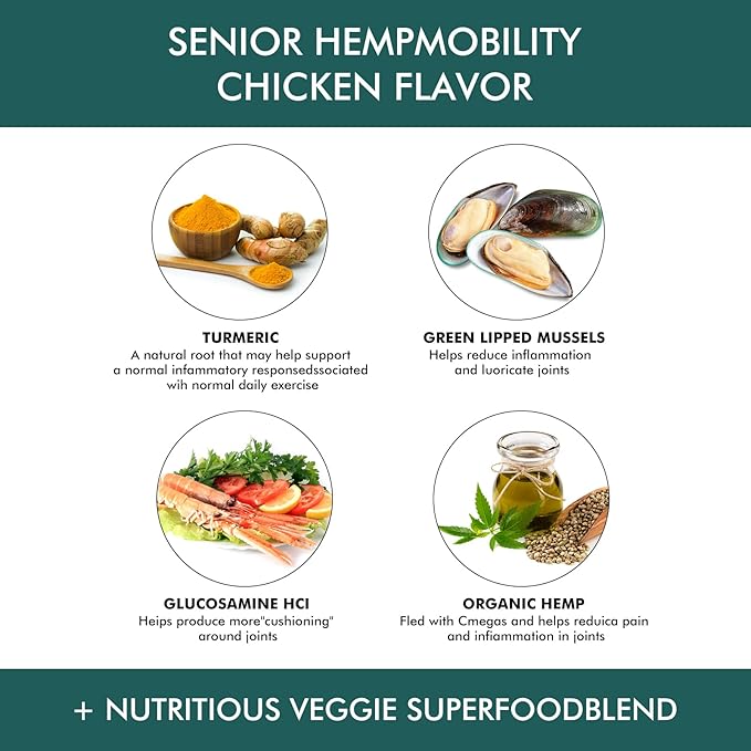 Hip & Joint Supplement for Dogs - with Hemp Oil, Glucosamine, Chondroitin, MSM, Green Lipped Mussel, Natural Joint Pain Relief, Improve Mobility, Reduces Discomfort,120 Chews