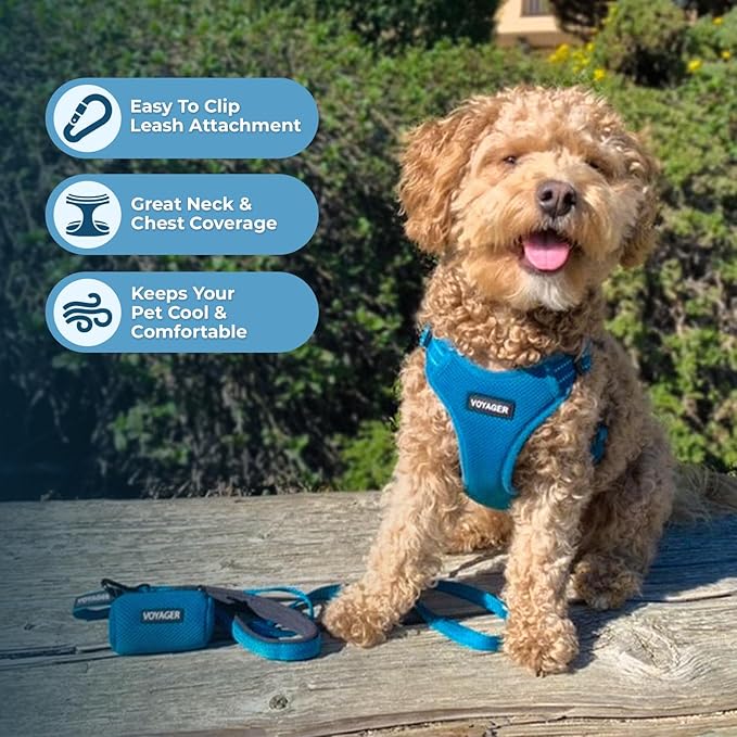 Best Pet Supplies Voyager Adjustable Dog Harness Leash Set with Reflective Stripes for Walking Heavy-Duty Full Body No Pull Vest with Leash D-Ring, Breathable All-Weather - Harness (Turquoise), XL