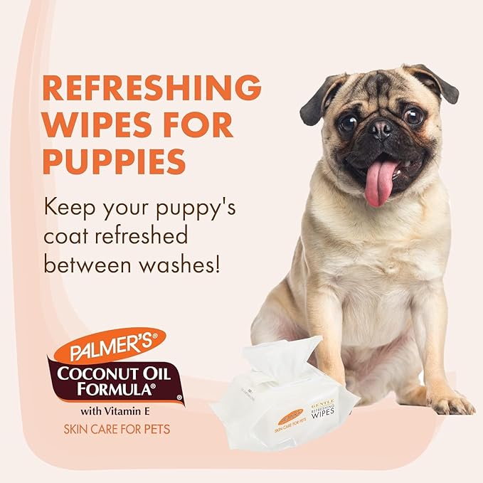 Palmer's for Pets Cocoa Butter Refreshing Dog Wipes, 100 Ct | Cocoa Butter Wipes for Dogs | Paraben & Phthalate Free Dog Grooming Wipes for Dogs, Palmers Dog Bath Wipes