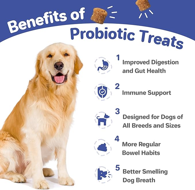 Canine Probiotic Chews for Dogs - Vet Formulated for Digestive & Diarrhea Support - Dog Probiotics for Diarrhea - Probiotics Dog Treats - Dog Digestive Support - Canine Probiotic - (60ct)