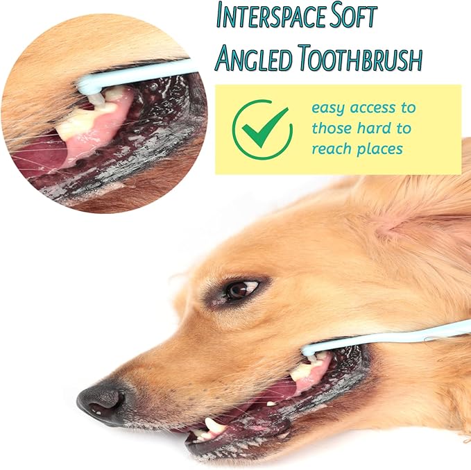 E.M&S.T by Emmeliestella Dog Toothbrush for Large Dogs, Pet Dental Care, Reduce Pets Teeth Plaque, Oral Hygiene, Deep Clean, Soft Bristles, 360 Rotating Brush Head, Removing Bad Breath Tartar, 3PCS