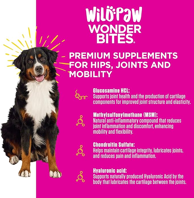 WonderBites for Hips, Joints, & Mobility -90 Soft Chews- Improves Mobility, Reduces Pain - Glucosamine, MSM, Hyaluronic Acid, Hemp, Turmeric, & More – Joint Supplement for Dogs