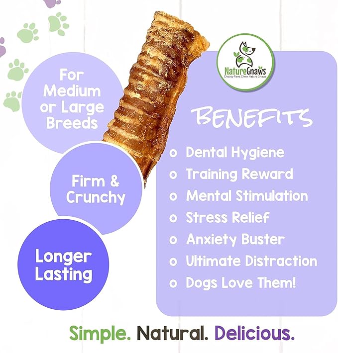 Nature Gnaws Beef Trachea for Dogs - Premium Natural Beef Bones - Simple Single Ingredient Crunchy Dog Chew Treats - Rawhide Free 6 Count