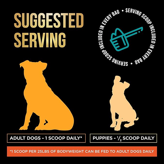 Dog Weight Gainer - Weight Gain Supplements for Dogs - Canine and Dog Muscle Builder - Dog Protein Powder - High Calorie Dog Food Supplement - Made in The USA