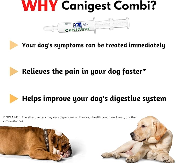 Canigest Combi - Diarrhea Treatment for Dogs | Stop Diarrhea in Hours | Combination of Pectin + Kaolin + 2 Probiotics + 2 Prebiotics | No Recurrence of Symptoms for Months - 32mL