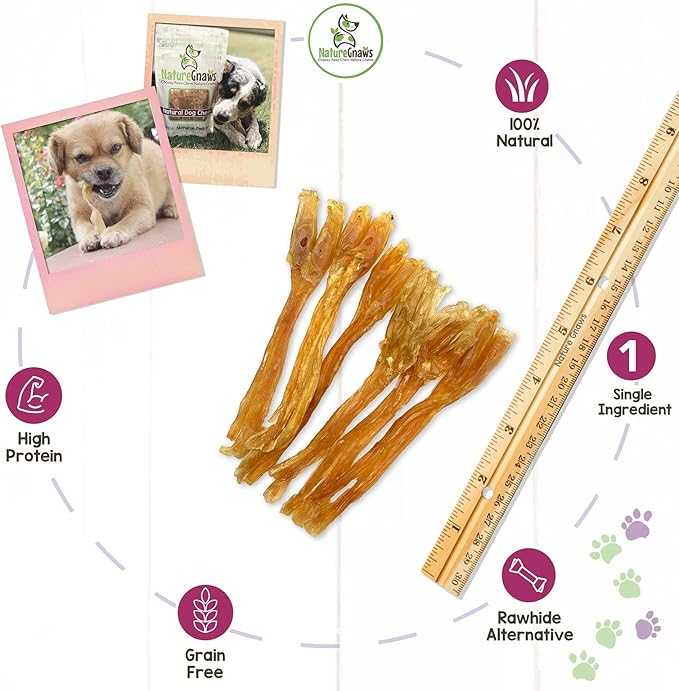 Nature Gnaws Mixed Beef Tendons & Paddywack for Dogs - Premium Natural Beef Dental Bones - Long Lasting Tasty Dog Chew Treats - Puppy Training Reward