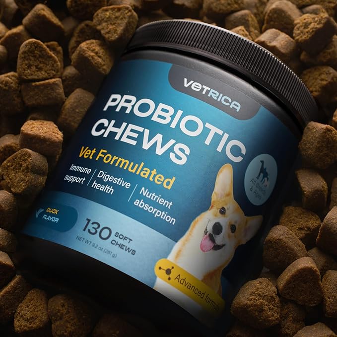 Probiotics for Dogs - Dog Probiotics for Digestive Health - Probiotic Chews for Dogs with Digestive Enzymes - Dog Gut Health Probiotics - Pet Probiotics for Dogs Gut Health Digestive