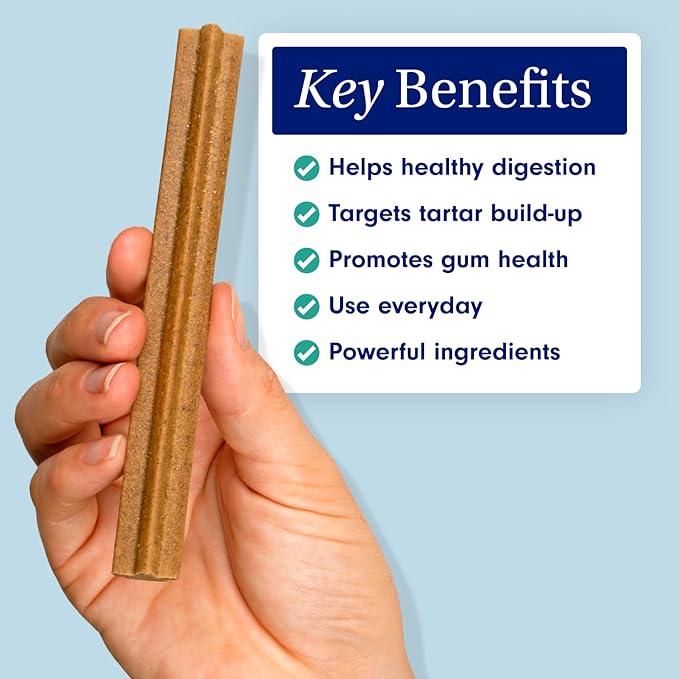Petlab Co. Dental Sticks – Dog Dental Chews -Target Plaque & Tartar Build-Up at The Source - Designed to Maintain Your Dog’s Oral Health, Keep Breath Fresh and Provide Digestive Help (24 Sticks)