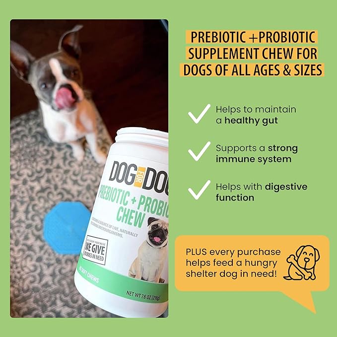 DOG for DOG Probiotics for Dogs - Digestive Enzymes for Dogs Support Gut Health | Probiotic & Prebiotic Chews Treat Diarrhea, Itchy Skin & Improves Gut Health | Made in The USA | 90 Bacon Flavor Chews